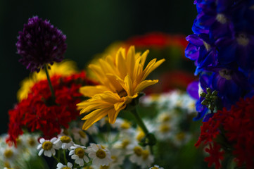 a bouquet of bright spring flowers of various types