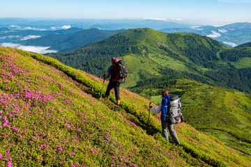 Fototapeta na wymiar Adventurers with backpacks are walking along mountain trail