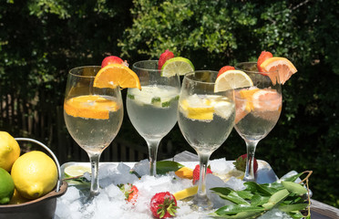 Fresh Fruit in Sparkling Water - Refreshing summer beverage