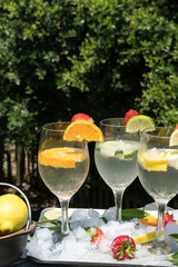 Fresh Fruit in Sparkling Water - Refreshing summer beverage