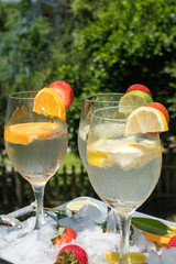 Fresh Fruit in Sparkling Water - Refreshing summer beverage