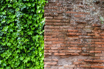 Obraz premium Ancient Roman brickwork. Bricks, Roman concrete, Rome.