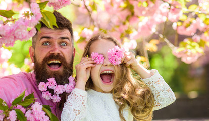 Naklejka premium Father and daughter on happy face play with flowers as glasses, sakura background. Child and man with tender pink flowers in beard. Girl with dad near sakura flowers on spring day. Family time concept