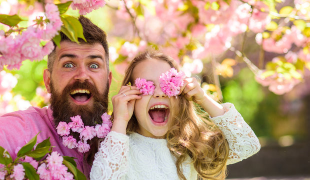 Father and daughter on happy face play with flowers as glasses, sakura background. Child and man with tender pink flowers in beard. Girl with dad near sakura flowers on spring day. Family time concept