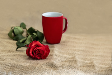 Beautiful red rose and mug on rustic background with copy space