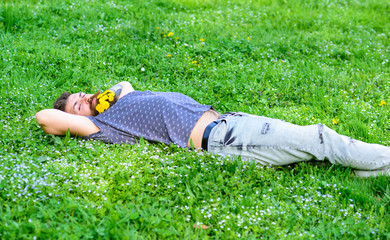 Bearded man with dandelion flowers in beard lay on meadow, grass background. Springtime concept....