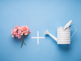 Minimal flat lay with watering concept on blue pastel background. Pink flowers