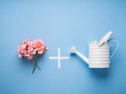 Fototapeta Minimal flat lay with watering concept on blue pastel background. Pink flowers