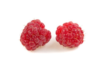 two raspberries on white background