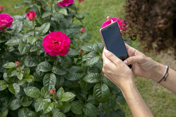 Bicycle ride in Paris 
