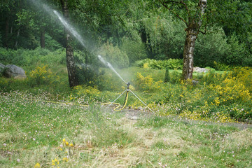 Public well maintained park in Germany in the summer to recover
