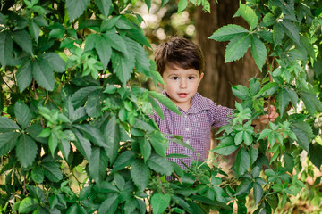 Cute little boy in park. Happy childhood