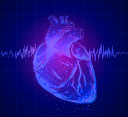 Heart. Abstract 3d vector human heart isolated on blue. Anatomy, cardiology medicine, organ health, medical science, life healthcare, cardio illness concept illustration or background.