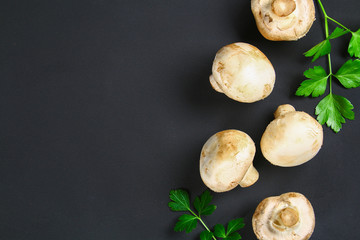 White fresh champignons with parsley on a wooden board on a gray dark table. Mushrooms. Copy the space. Top view.