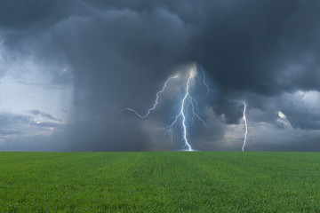 Green field and thunderstorm © firewings