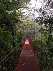 Suspension bridge in Monteverde cloud forest, Costa Rica