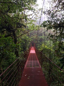 Suspension Bridge In Monteverde Cloud Forest, Costa Rica
