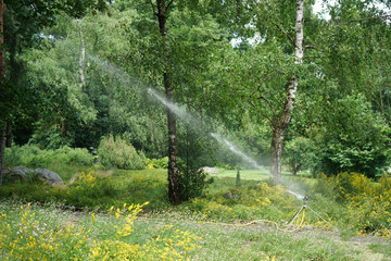 Public well maintained park in Germany in the summer to recover
