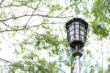 Vintage lamp post in the park