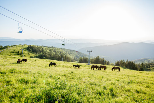 Landscape view on the beautiful Carpathian mountains with horeses and ski lift on the High Top near the Slavske village in Ukraine