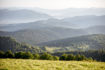 Obraz premium Landscape view on the beautiful Carpathian mountains from the High Top near the Slavske village during the sunrise in Ukraine