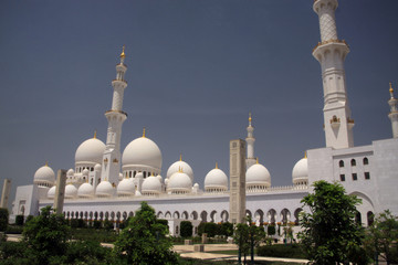 Fototapeta na wymiar biały meczet w abu dhabi z drzewami na pierwszym planie