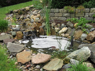 A man made Koi fish pond with a stream and waterfall with foam floating on the top of the water 