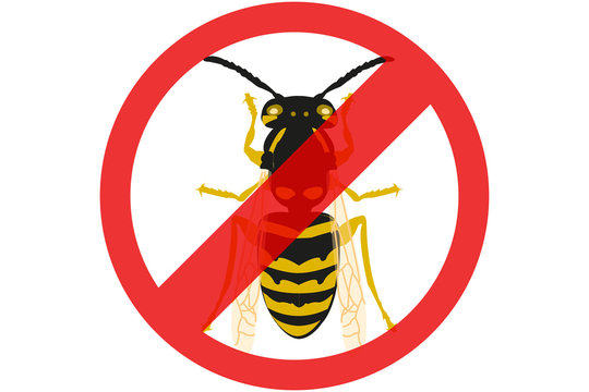 Exterminar plaga de abejas y avispas. 