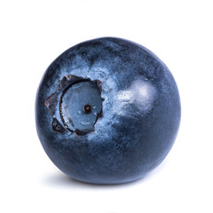 Single blueberry isolated on white background. Macro photo.