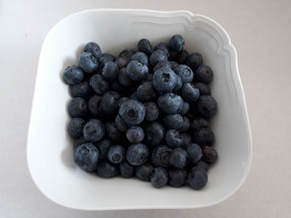 Blueberry Bowl Vintage White