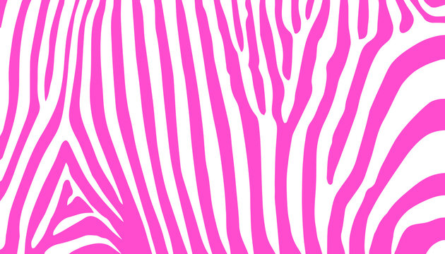 stripe animal jungle texture zebra vector pink white