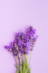The lavender flowers.
