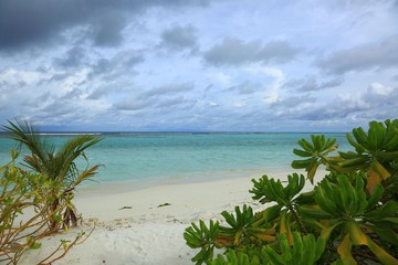 Gorgeous view of white sand beach. Young green palm trees on turquoise water and blue sky with white clouds background. Maldives, Indian Ocean.