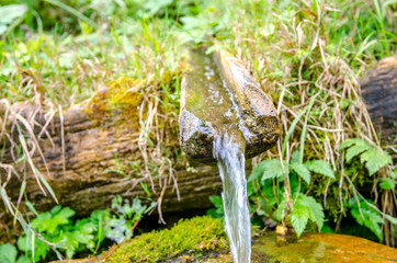 Water spring from a wood spout with fresh green plants on the background in a natural untouched area