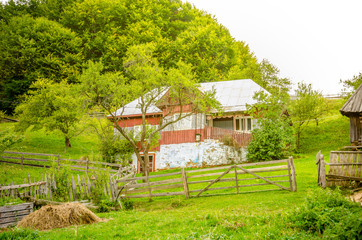 Fototapeta na wymiar Old house in a rural transylvanian village in Romania with fresh green grass and a forest on the back
