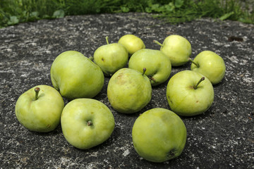 green apples on stone