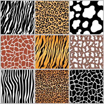 set safari jungle animal fur stripe animals bengal tiger giraffe zebra cow snake texture pattern seamless repeating white black orange brown