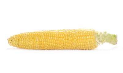 Ear of corn isolated on white background