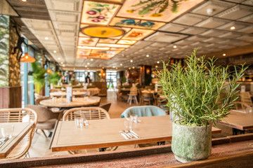 Restaurant with herb rosemary