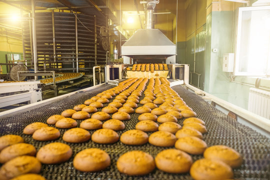 Cakes on automatic conveyor belt or line, process of baking in confectionery culinary factory or plant. Food industry, cookie and other sweet breadstuff production