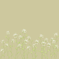 Capsella bursa-pastoris.Blooming grass. Medicinal plant. Wildflowers. Flower tenderness print.
