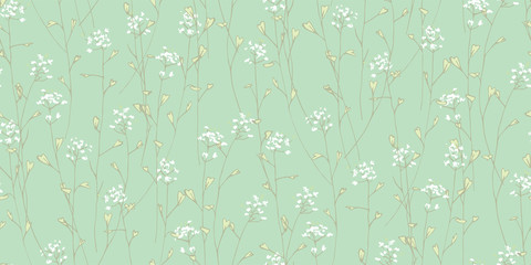 Capsella bursa-pastoris.Blooming grass. Medicinal plant. Wildflowers. Flower tenderness print.
