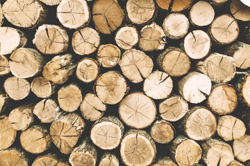 Abstract photo of a pile of natural wooden logs background