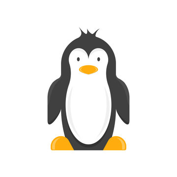 A cartoon penguin. Vector illustration on white background.