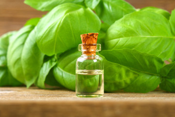 A bottle of basil essential oil with fresh basil leaves on a table.