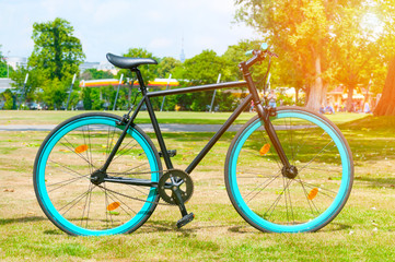 Fototapeta premium Bicycle in a summer park