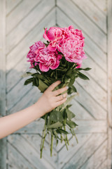 Flowers to gift. Beautiful ranunculus in female hands. Spring time and inspiration
