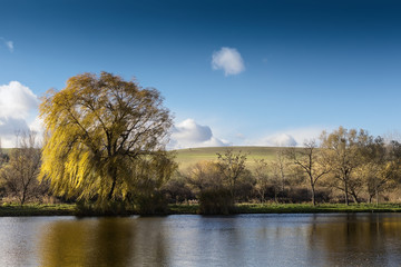 Lakeshore of a small fishing lake in Sarisap, Hungary