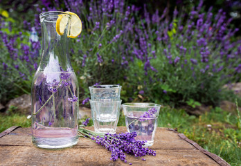 Lavendel-Limonade im Garten