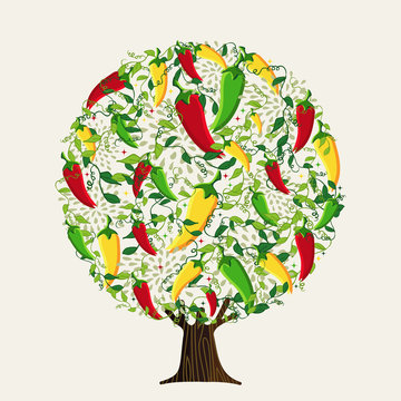Mexican hot pepper tree for spicy food concept